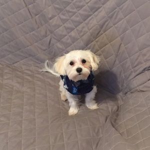 Meet your Posher, Katy